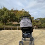 松下萌子の子供の父親は？実家や学歴・経歴プロフィールと現在の生活を徹底調査！