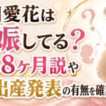 神田愛花は妊娠してる？妊娠8ヶ月説や子供・出産発表の有無を確認