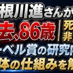 利根川進さんが死去、86歳｜死因は非公表？ノーベル賞の研究内容・抗体の仕組みを解説